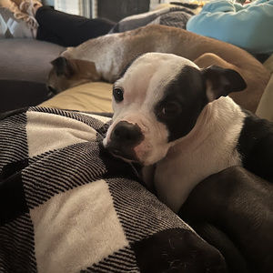 Meet your Posher, Lexi